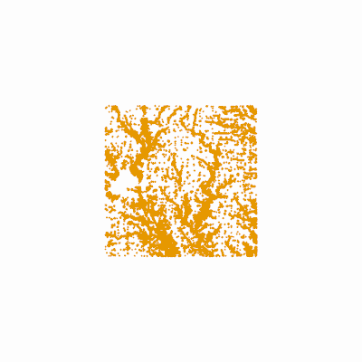 Export Image